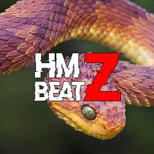 Picture for song 'MoneyBagg yo x Future Type Beat 'Venom' Trap' by artist 'HMZ Beatz'