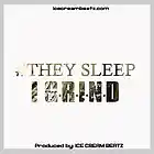 Picture for song '***BANGER*** THEY_SLEEP_I_GRIND' by artist 'ICE CREAM BEATZ'
