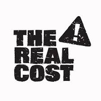 Picture for song 'The Real Cost' by artist 'ItsAKingBeat'