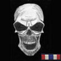 Picture for song 'Valor Without Renown' by artist 'LaughingSkull'