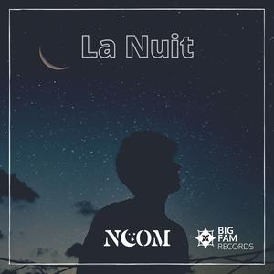 Picture for song 'La nuit' by artist 'Noom'