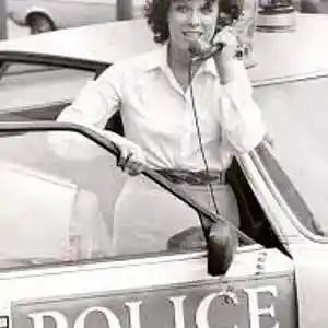 Picture for song 'The Gentle Touch Theme' by artist 'Previous Signs of Decay'