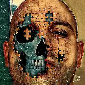 Picture for song 'Run n Hide' by artist 'RayDaChef'