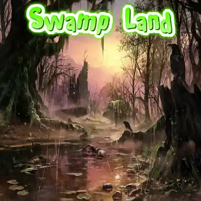 Picture for song 'Swamp Lands' by artist 'Swampman And The Machine'