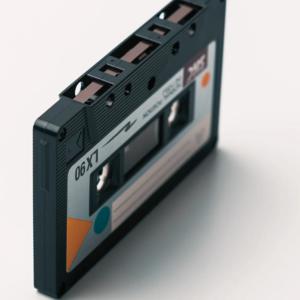 Picture for song 'Priceless' by artist 'ThatsMaddison'