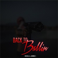 Picture for song 'Back 2 Ballin x ADMWolF' by artist 'VIBE KILLA'