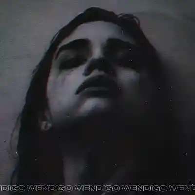 Picture for song 'Apathy *BLACK FRIDAY SALE -50*' by artist 'Wendigo'