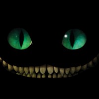 Picture for song 'Madness' by artist 'Zakwan Anthony'