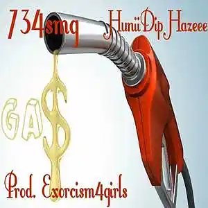 Picture for song 'GAS (Feat. HuniiDip Hazeee)' by artist '734smg'