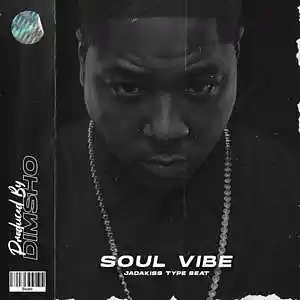 Picture for song 'Soul Vibe' by artist 'Dimsho Beats'