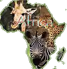 Picture for song 'Africa' by artist 'Diapolis'