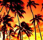 Picture for song 'Don't Cry #16' by artist 'DrEaMzMuSiK'