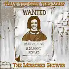 Picture for song 'After The Flood' by artist 'mirrored shower'