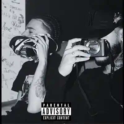 Picture for song 'roa X hades 66 X luar la l type beat' by artist 'OFF COURT'