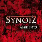 Picture for song 'Ever Emptiness' by artist 'Synoiz'