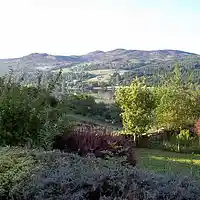 Picture for song 'Sunday Morning' by artist 'Viking Blues'