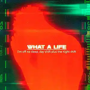Picture for song 'What a life' by artist 'Andrew Kurs'