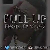 Picture for song 'Pull Up- young dolph type beat Prod. By Veno' by artist 'Bass God'