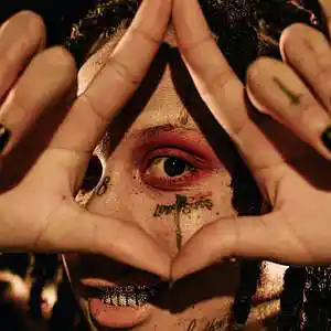 Picture for song 'Raptor' by artist 'Bazzan'