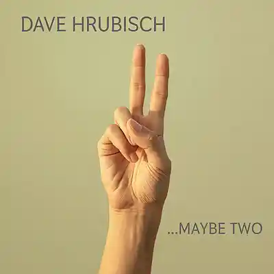 Picture for song 'A Shower Of Blows (ft. The DeFendy Brothers)' by artist 'Dave Hrubisch'