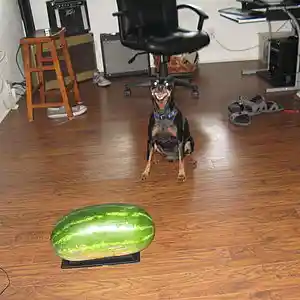 Picture for song 'from me 2-u 1' by artist 'dave musselman'