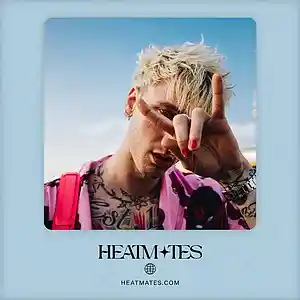 Picture for song 'True Romance (Pop Rock x Machine Gun Kelly)' by artist 'HEATMATES'