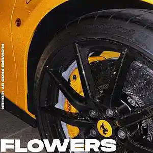 Picture for song 'FLOWERS Post Malone x Marshmello' by artist 'Higher Beats'