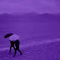 Picture for song '(NEW) Love In The Rain' by artist 'LEXI BANKS'