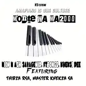 Picture for song 'Mnate_wama_2000' by artist 'Nick N Ash SAVAGEkid'