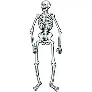 Picture for song 'Take me to Yoshi city 2(Prod:Yaminov and Alton)' by artist 'Yaminovovich'