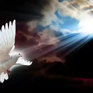 Picture for song 'Devine' by artist '2uo7rax'