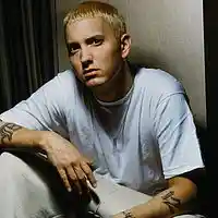 Picture for song 'EMINEM COVER (IF I HAD)' by artist 'Aaron Michael Beats'