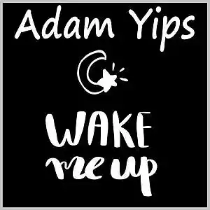Picture for song 'Wake Me Up' by artist 'Adam Yips'