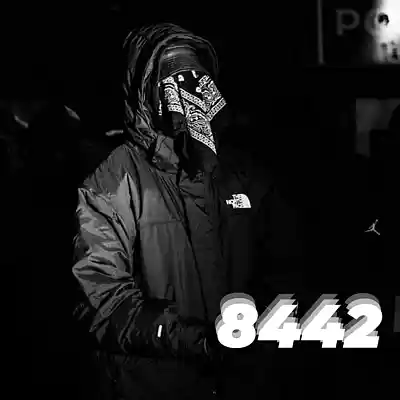 Picture for song '8442' by artist 'glitchland'
