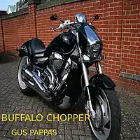 Picture for song 'Buffalo Chopper' by artist 'gus pappas'