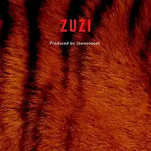 Picture for song 'Zuzi (Lil Uzi Vert Type Beat)' by artist 'Jswooooosh'