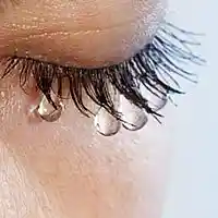 Picture for song 'Feelings Dont Mean Shit' by artist 'Light Uzamaki'