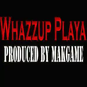 Picture for song 'Whazzup Playa (Makgame Original Mix)' by artist 'Makgame'