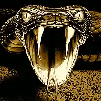 Picture for song 'Viper v2' by artist 'swerve tweeter'