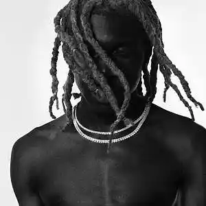 Picture for song 'SNAKE' by artist 'DAN MVSON'