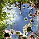 Picture for song 'Green Square' by artist 'dj LF'