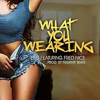 Picture for song 'What you wearing feat.Fred Nice ' by artist 'Da Real EKG'
