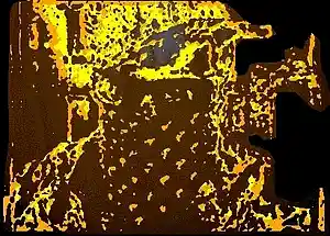cover pic