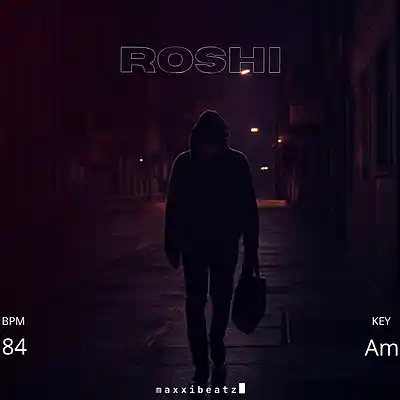 Picture for song 'Melancholic Boom Bap Type Beat - "ROSHI"' by artist 'maxxibeatz'