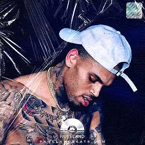 Picture for song 'FEELING - (Chris Brown Type Beat, Young Thug Beat)' by artist 'Paweland Beats'