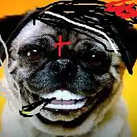 Picture for song 'Happy Shit' by artist 'PrinceoftheX'