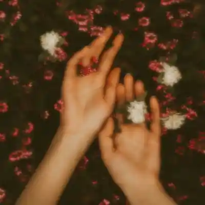 Picture for song 'Favorite flower' by artist 'Prod.VLIUZ'