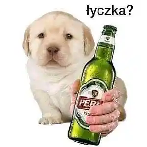 Picture for song 'OrcheClub - beat by Trill 2B' by artist 'Trill 2B'