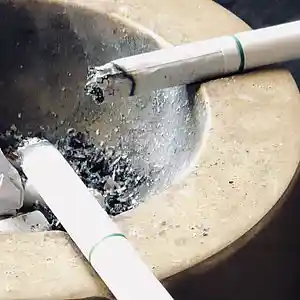 Picture for song '1 Million Dollar' by artist 'youngabis'