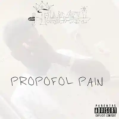 Picture for song 'propofol pain' by artist 'TuAaveli'